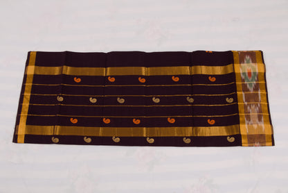 South Indian Venkatagiri cotton saree with golden zari and ikat border